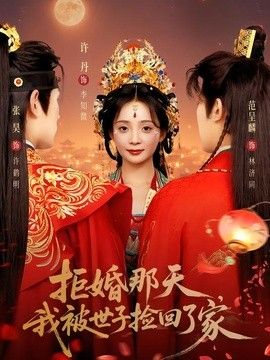 拒婚那天,我被世子撿回了家海報