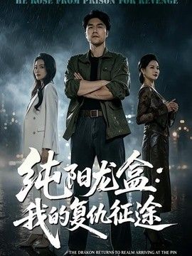 純陽龍盒:我的復仇征途海報